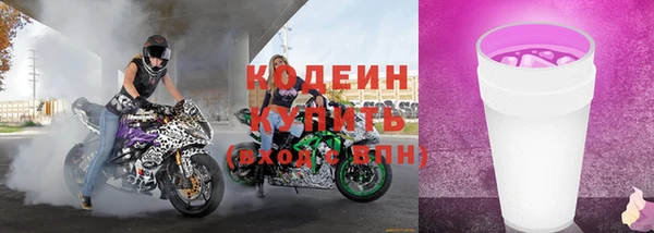 прущие грибы Бородино