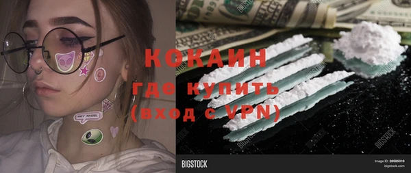 прущие грибы Бородино