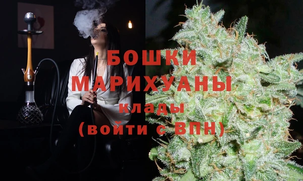 прущие грибы Бородино