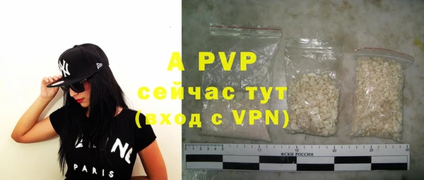 прущие грибы Бородино