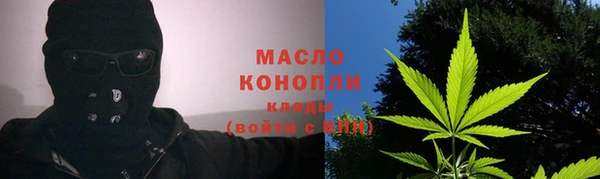 прущие грибы Бородино