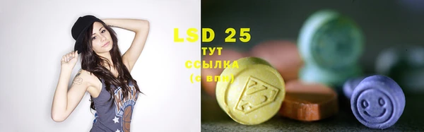 прущие грибы Бородино