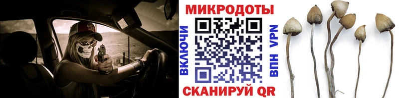 Псилоцибиновые грибы Psilocybe  Киреевск 